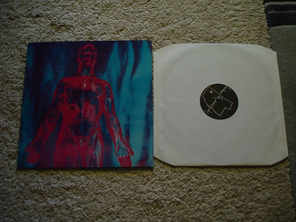 Vinyles: NIRVANA 12" MAXI SINGLE   ORIGINAL "SLIVER"   1991 – D'occasion à Niederweningen par tsnuk333 2