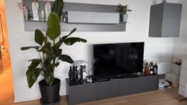 Elegantes TV-Möbelset - aus Metall und Glas