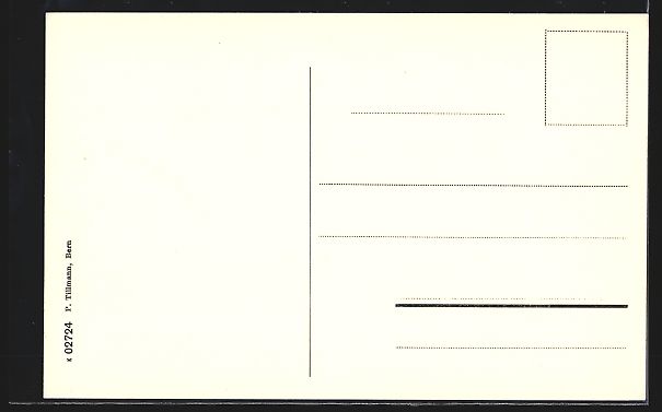 Cartoline postali: AK Bern, Steinerstrasse mit Passant – Usato da Berlin venduto da bartko-reher 1