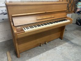 Klavier August Förster Holz gebraucht