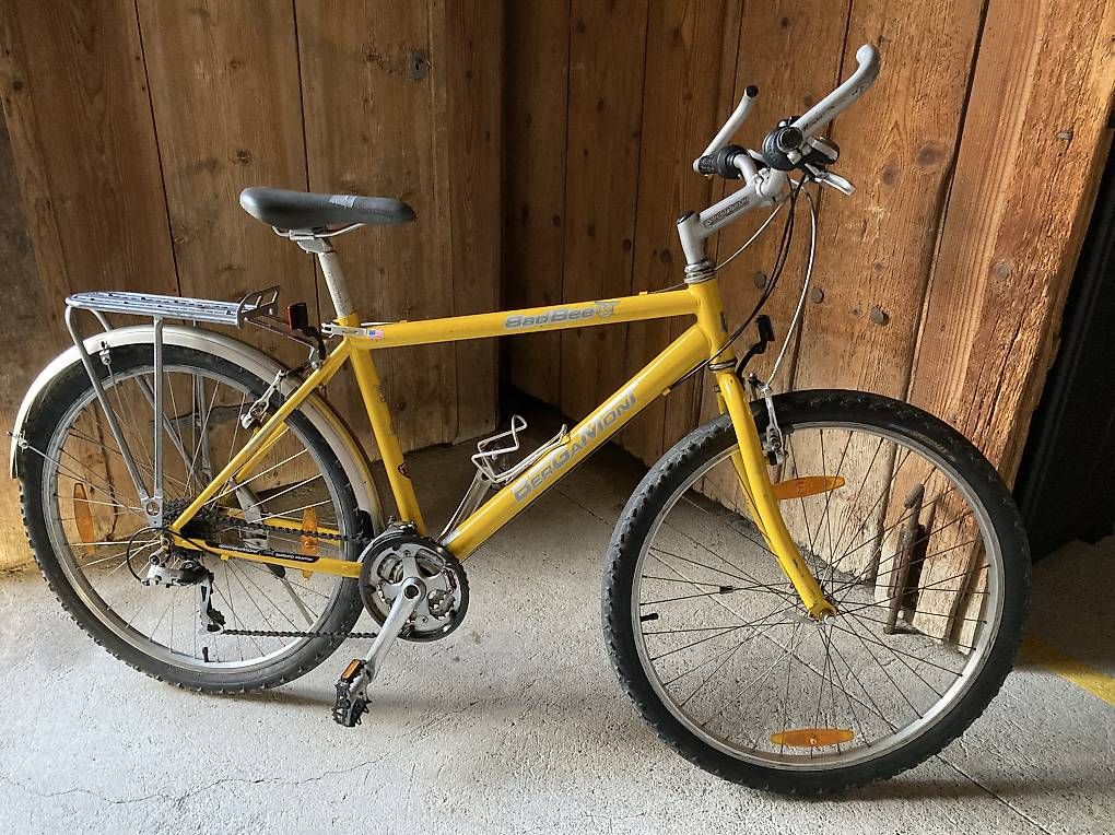 Biciclette: Mountainbike – Usato da Bolligen venduto da abara1 1