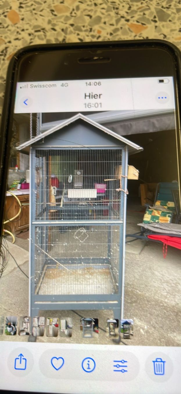 Gabbie, trasporto & Sicurezza: grande cage a oiseau – Usato da Maracon venduto da Caro1613