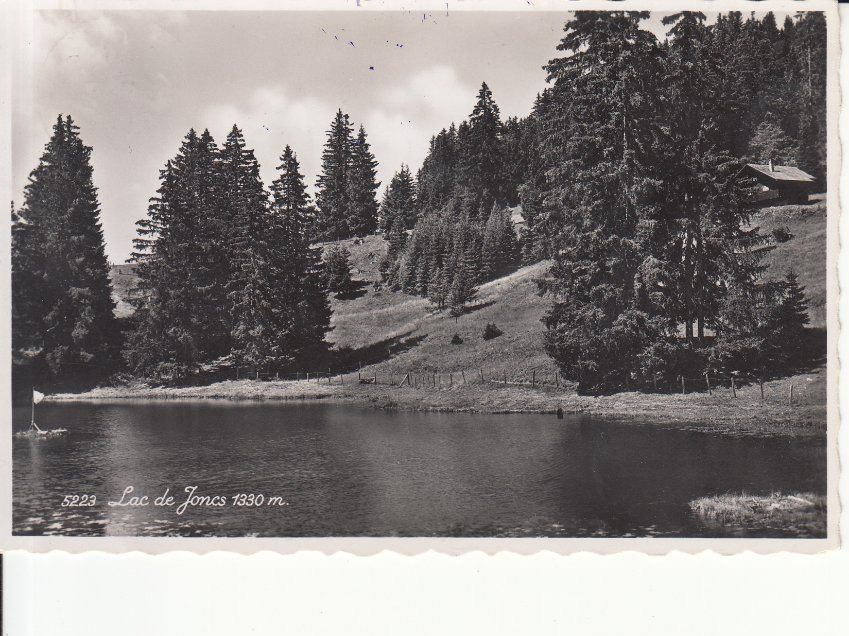 Ansichtskarten: Lac de Joncs 1946 – Gebraucht aus Bürglen TG von StampGraf