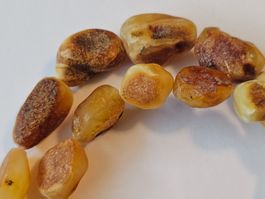 34g Roh bernsteinkette Königsbernstein butterscotc Bernstein