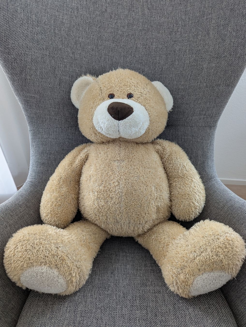 Giocattoli: grosser Teddy Bär – Usato da Inwil venduto da rednag_tam