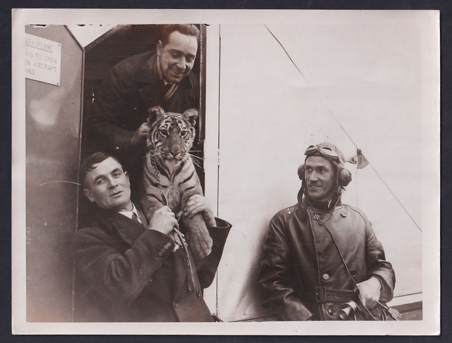 Fotografie & Manifesti: Fotografie Pilot Capt. G. I. Thomson sch – Usato da Berlin venduto da bartko-reher