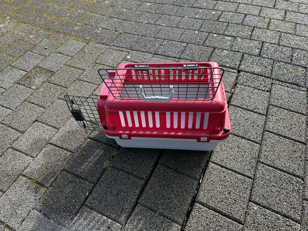 Käfige, Transport & Sicherheit: Hunde- und Katzenbox – Gebraucht aus Kefikon ZH von Gary97 4