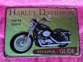 Harley Davidson hydra glide zweirad