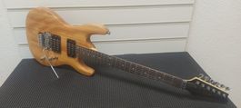 E-gitarre Swiger L-G6 ,neuwertig