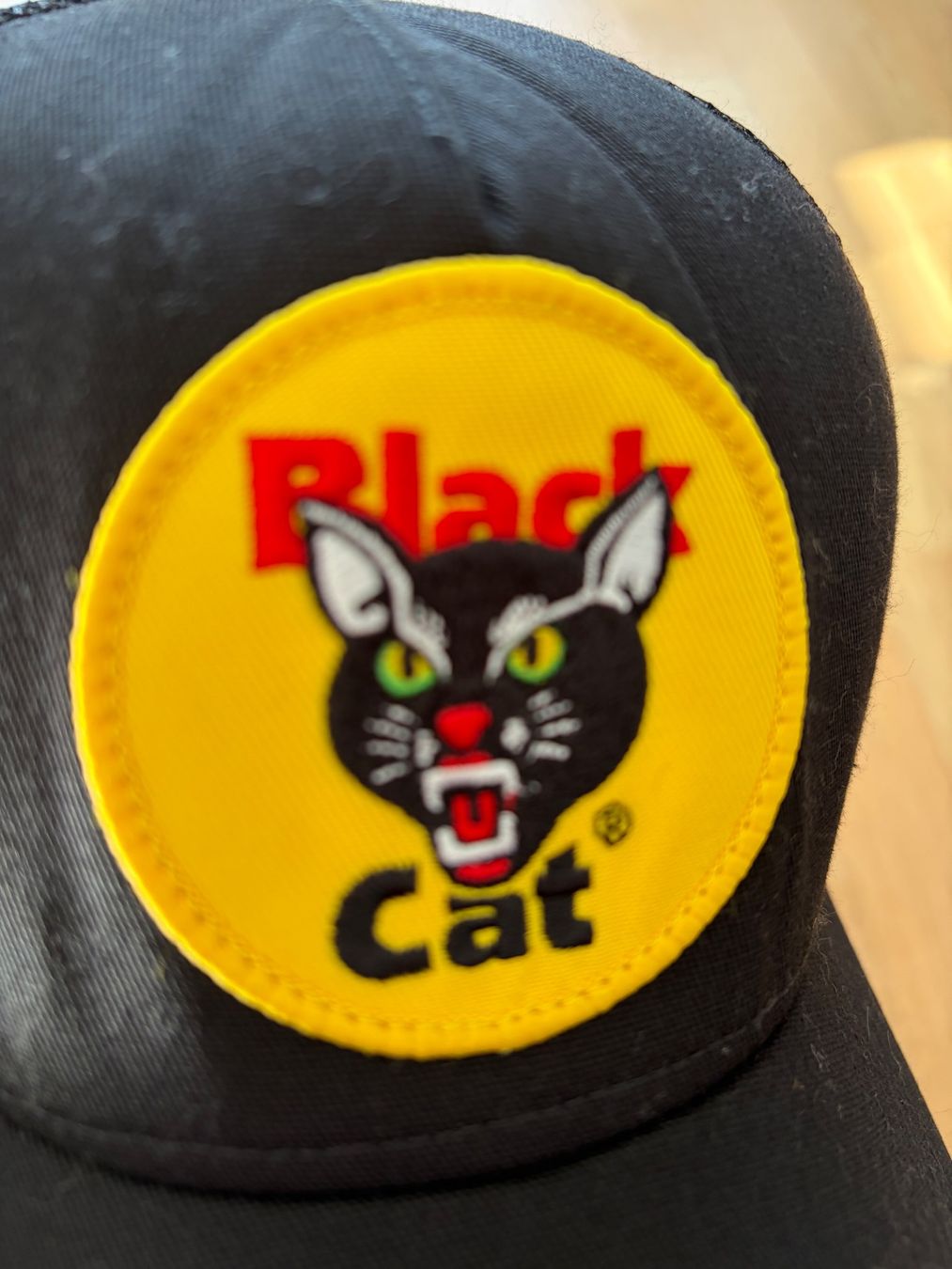 Sonstige Kleidung & Accessoires: SUPREME Cap / Black Cat – Gebraucht aus Kriens von dannypucci 2
