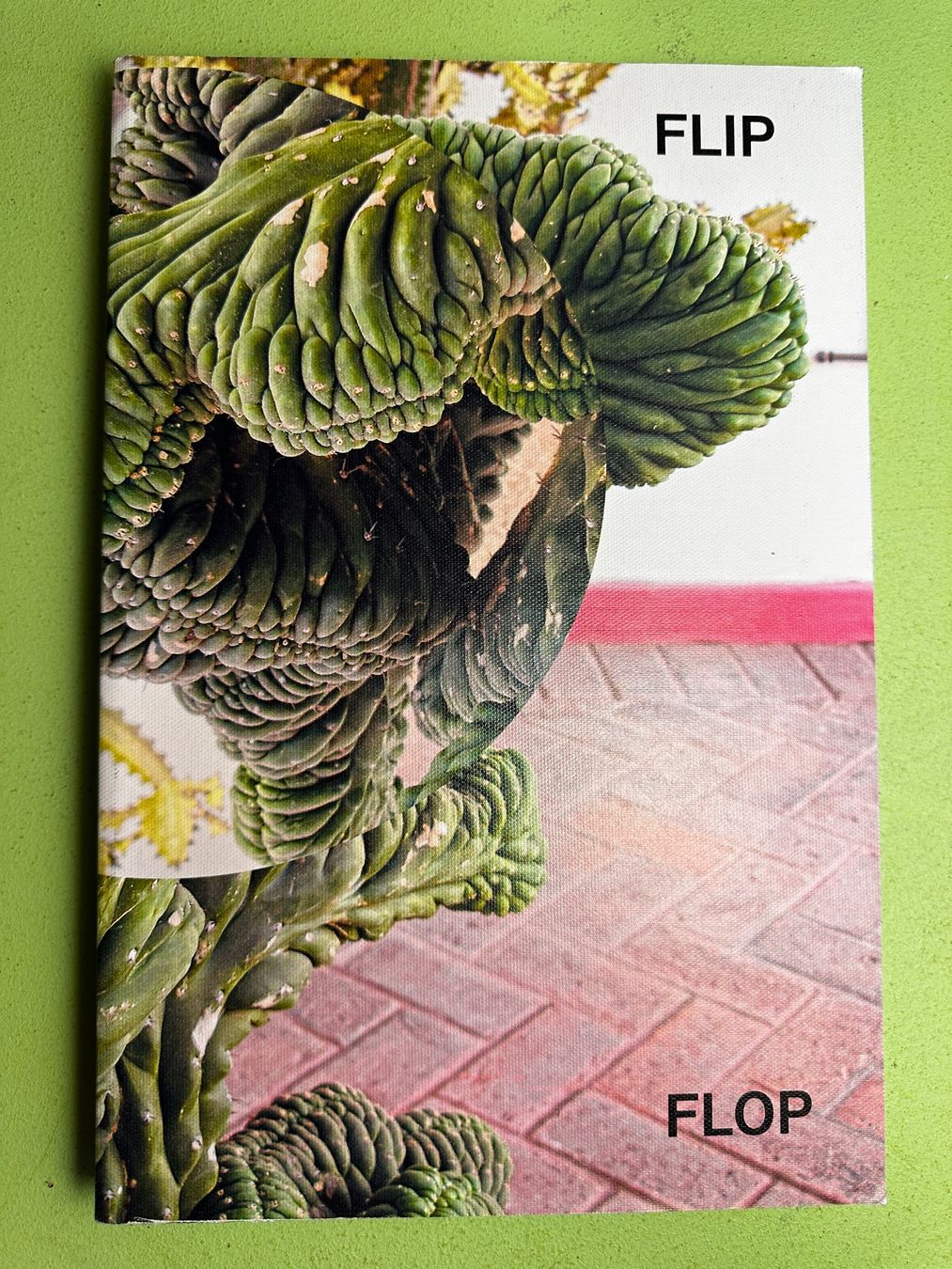 Libri: Ruedi Bechtler: Flip Flop. – Usato da Zürich venduto da allp