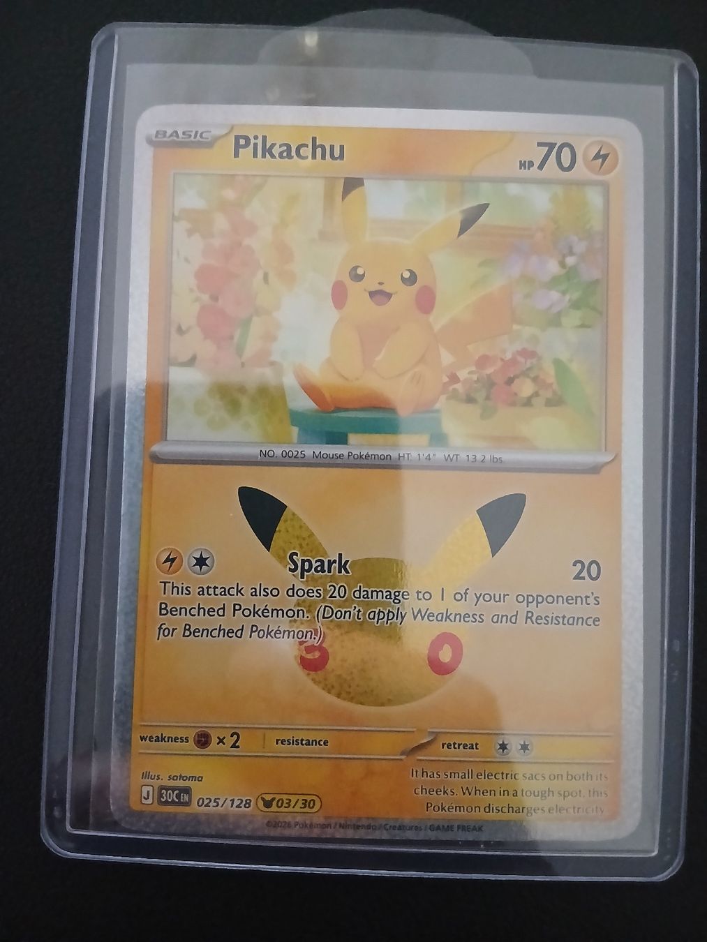 Pokémon Sammelbilder & Trading cards: Pikachu Pokémon 30th Celebration Englisch – Neu (gemäss Beschreibung) aus Regensdorf von Baba_Basar 2