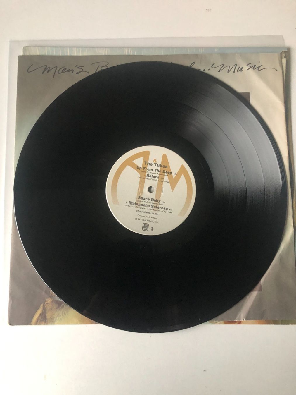 Dischi in vinile: The Tubes – Usato da Aarwangen venduto da Jukebox3 5