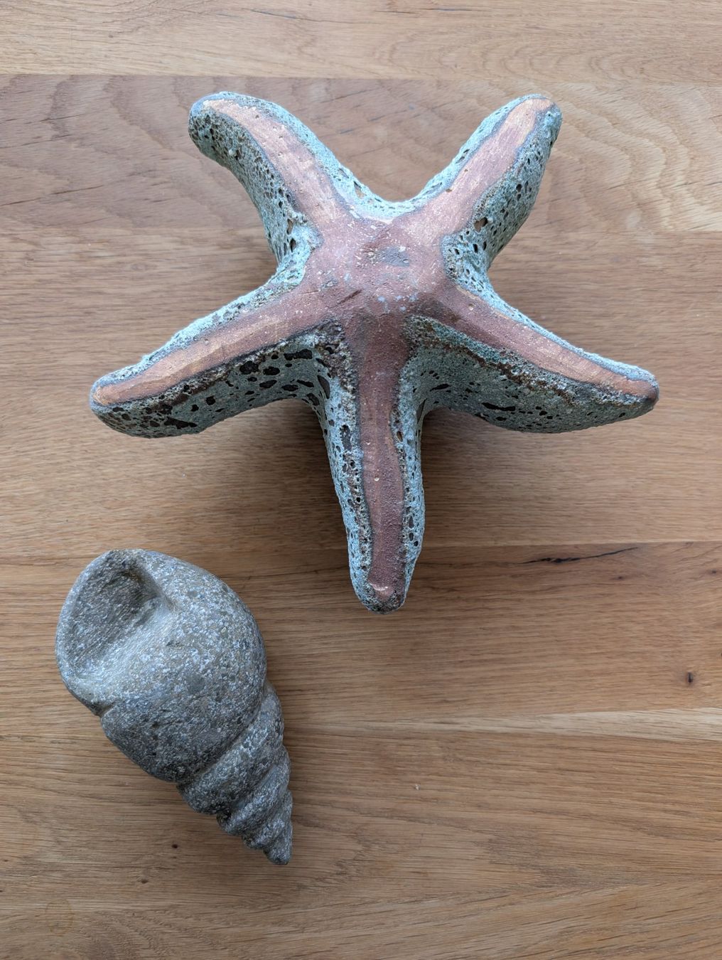 Tutte le decorazioni: Muschel und Seestern – Usato da Walchwil venduto da Rica_qmy6 1