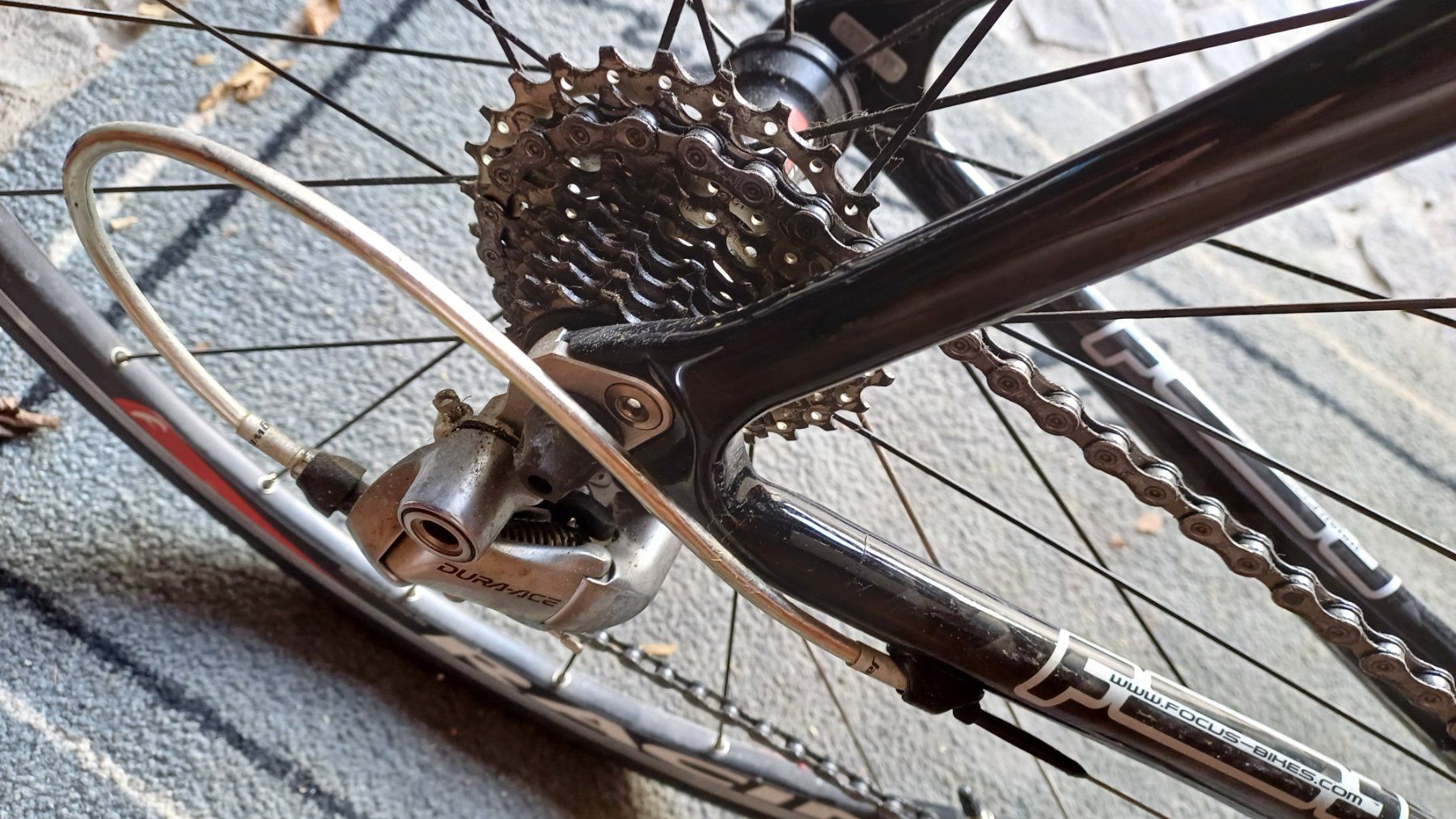 Focus Biciclette: Rennrad Focus Cayo Carbon Gr. XL – Usato da Oberrieden venduto da Raja011 4