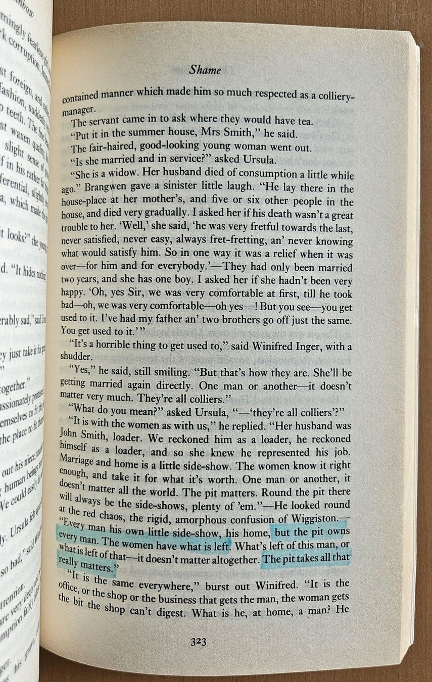 Libri: D.H. Lawrence: The Rainbow – Usato da Schaffhausen venduto da brickenthusiast 5