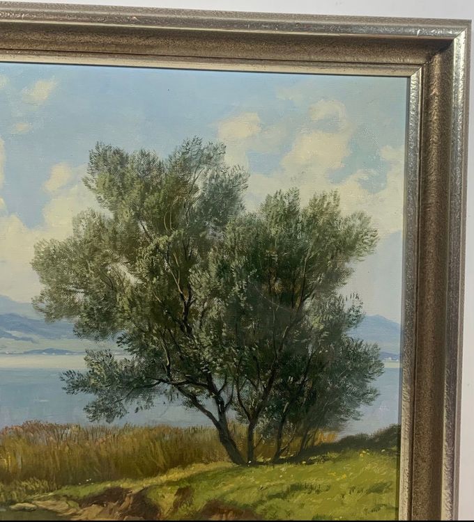 Jakob Edwin Bachmann (18731957) Zürichsee Gemälde Kaufen auf Ricardo