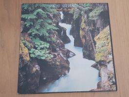 LP  Cat Stevens
