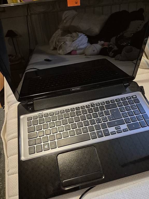 Notebook: Packard Bell EasyNote LV1 1HC – Usato da Basel venduto da fin_pn6t 1