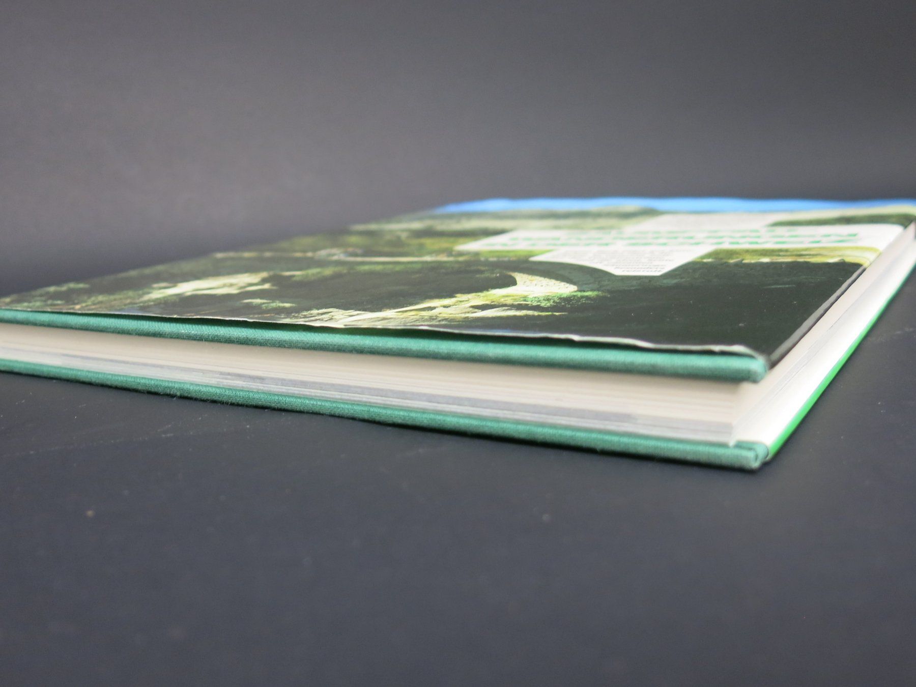 Bücher: BUCH Saumpfad-Wanderungen in der Schweiz – Gebraucht aus Schaffhausen von  3