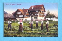 Appenzell - Zur Bleiche - Bauern beim der Arbeit