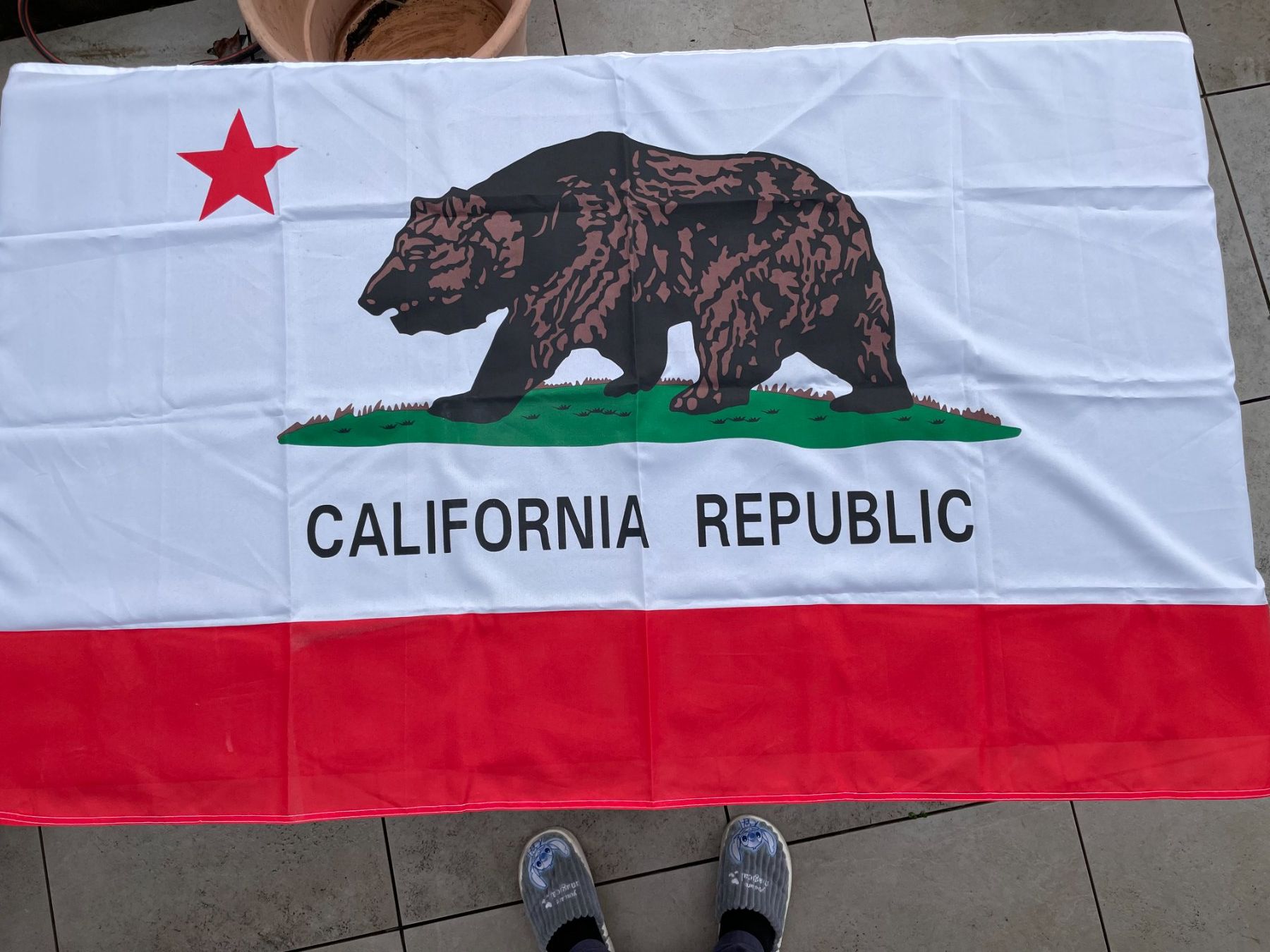 Bandiere: California Republic Flag Grösse 152x86cm – Usato da Zürich venduto da ONA-Online 2