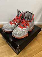 Nike LeBron 19 Grey fog Gr. 46 / US 12 - Top Zustand