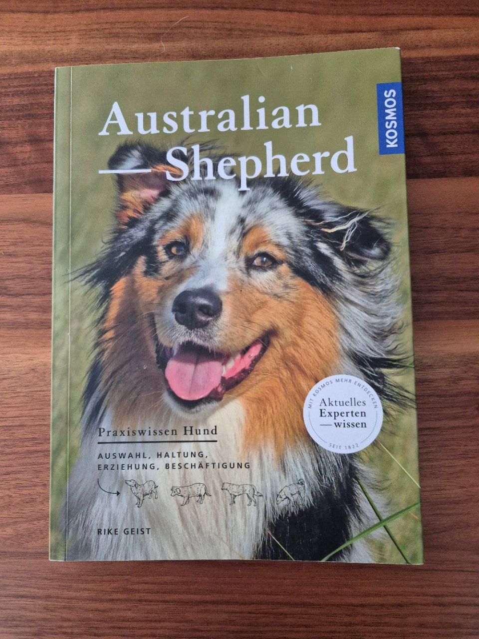 Libri: Astralian Shepherd Hundebuch neuwertig – Usato da Lalden venduto da aneleh58