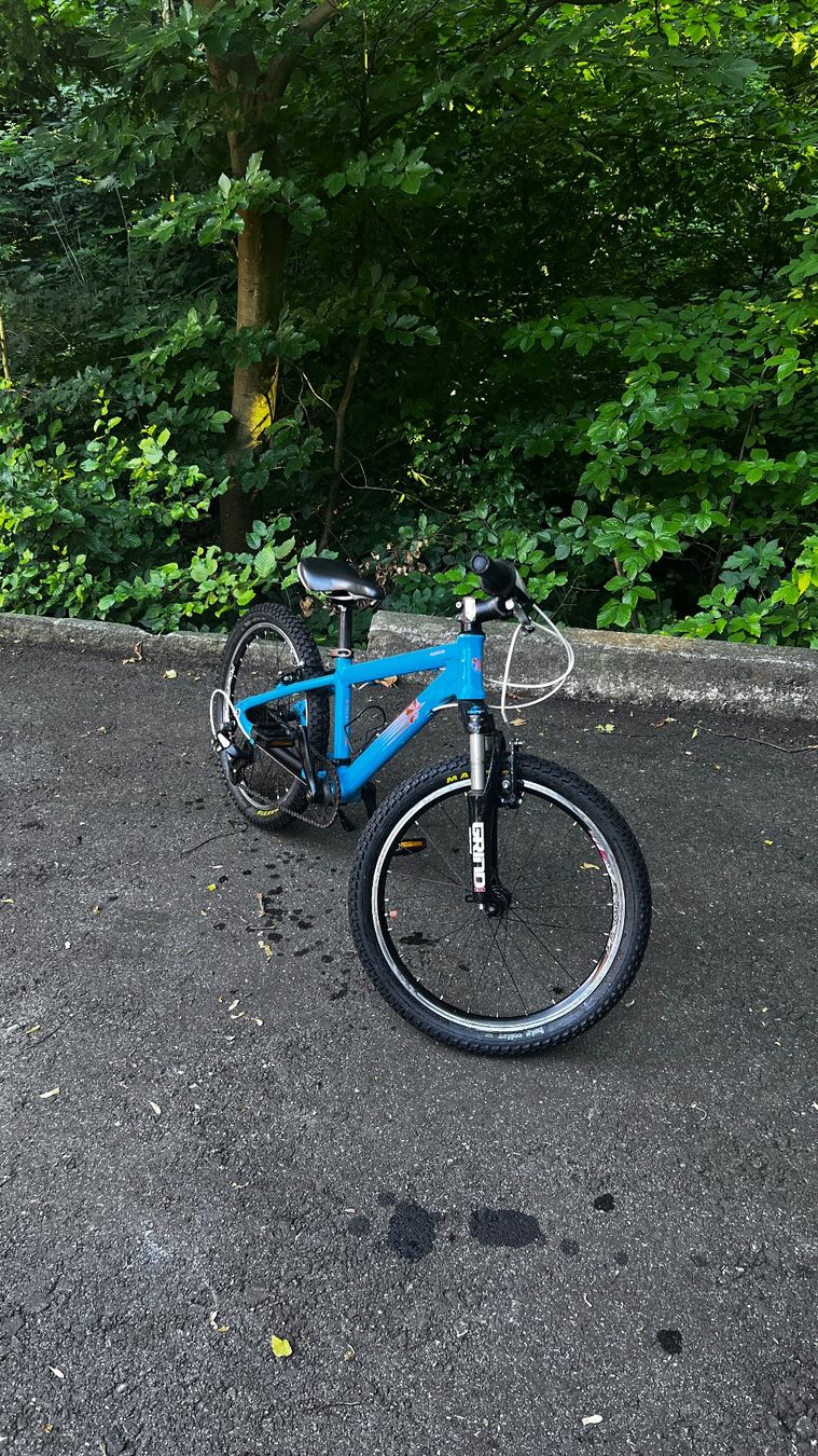 MTB Cycletech Biciclette: MTB Cycletech Moskito 20 – Usato da zürich venduto da landy88 3