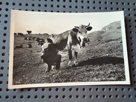 Carte postale ancienne de l’alpage de Chanrion Bagnes Valais