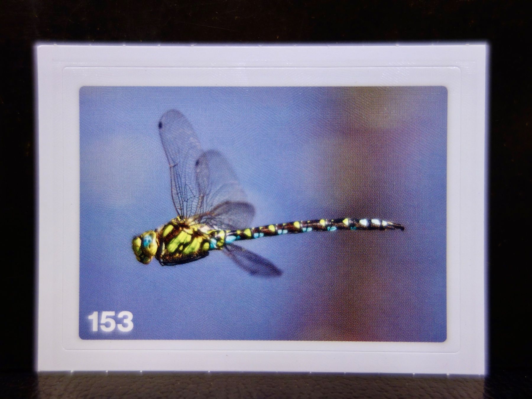 Migros Carte collezionabili: MIGROS MANIA Nature Detectives Nr. 153 – Usato da Kerzers venduto da djstarsky73