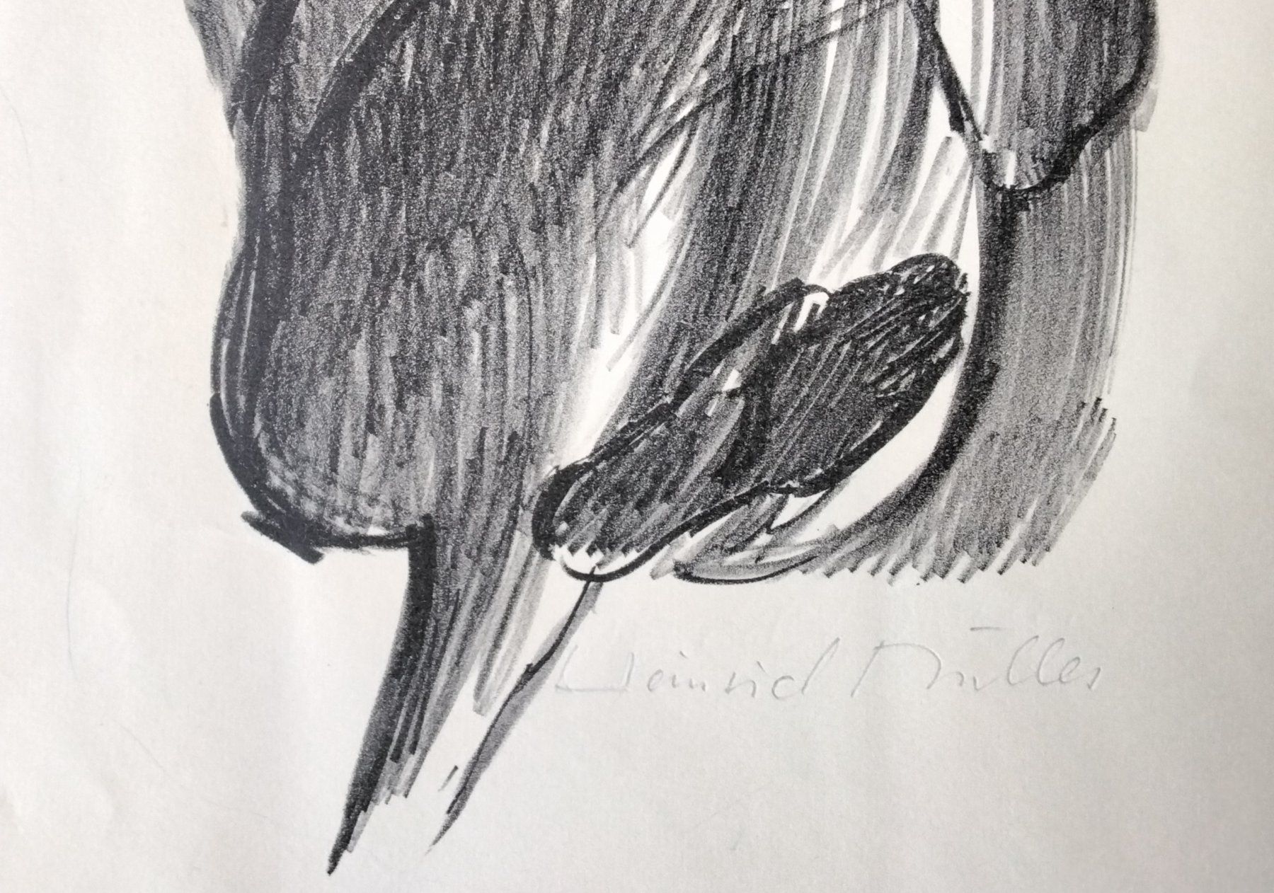 Grafica & Litografie: H. Müller Lithographie signiert – Usato da Cavigliano venduto da zamamasa 3