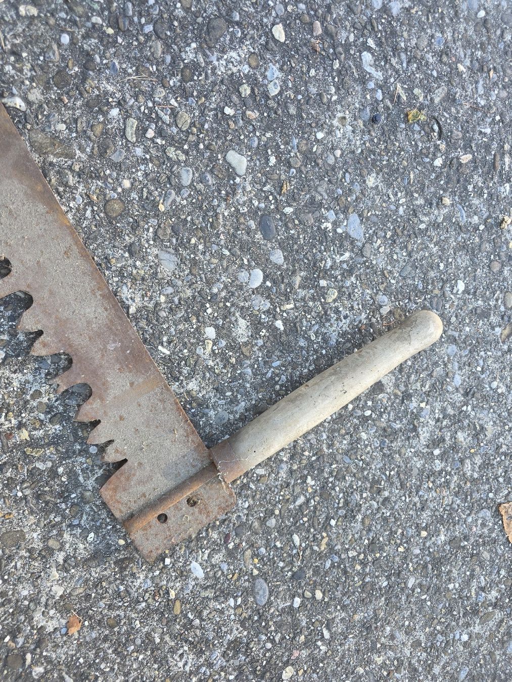 Seghe: Antike 2 Mann Säge vintage  – Usato da Grossaffoltern venduto da kaefer14 2