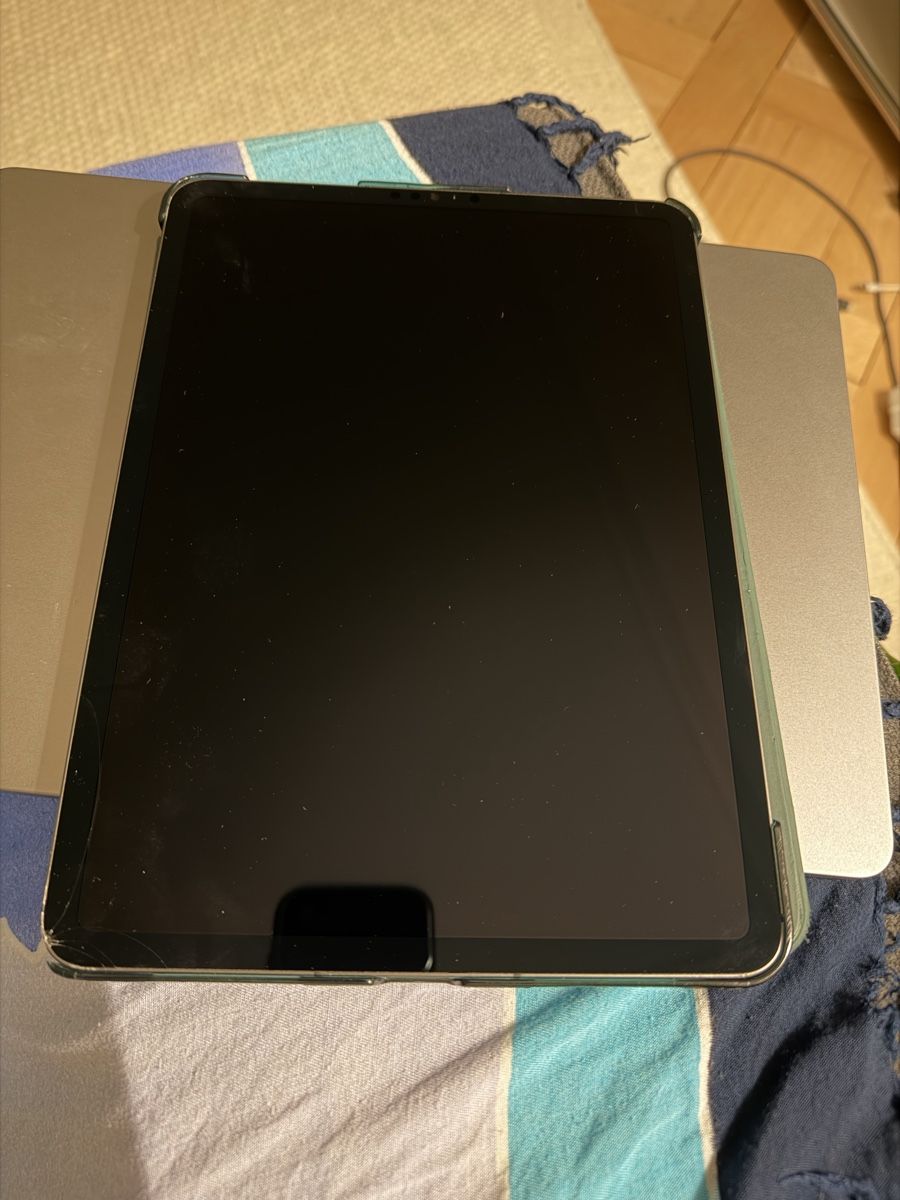 Apple Tablet PC: iPad Pro 3rd generation 11’ + Apple Pencil 2nd – Usato da Zürich venduto da van_82hj 4