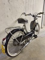 SACHS 502 HG - Allegro