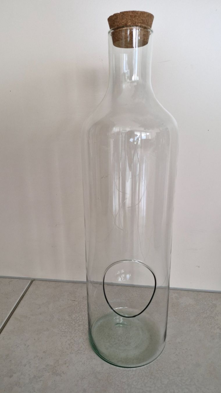 Tutte le decorazioni: Glasflasche/Pflanzflasche/Blumentopf/Bastelgefäss/Deko – Usato da Urdorf venduto da Jasmin.lee