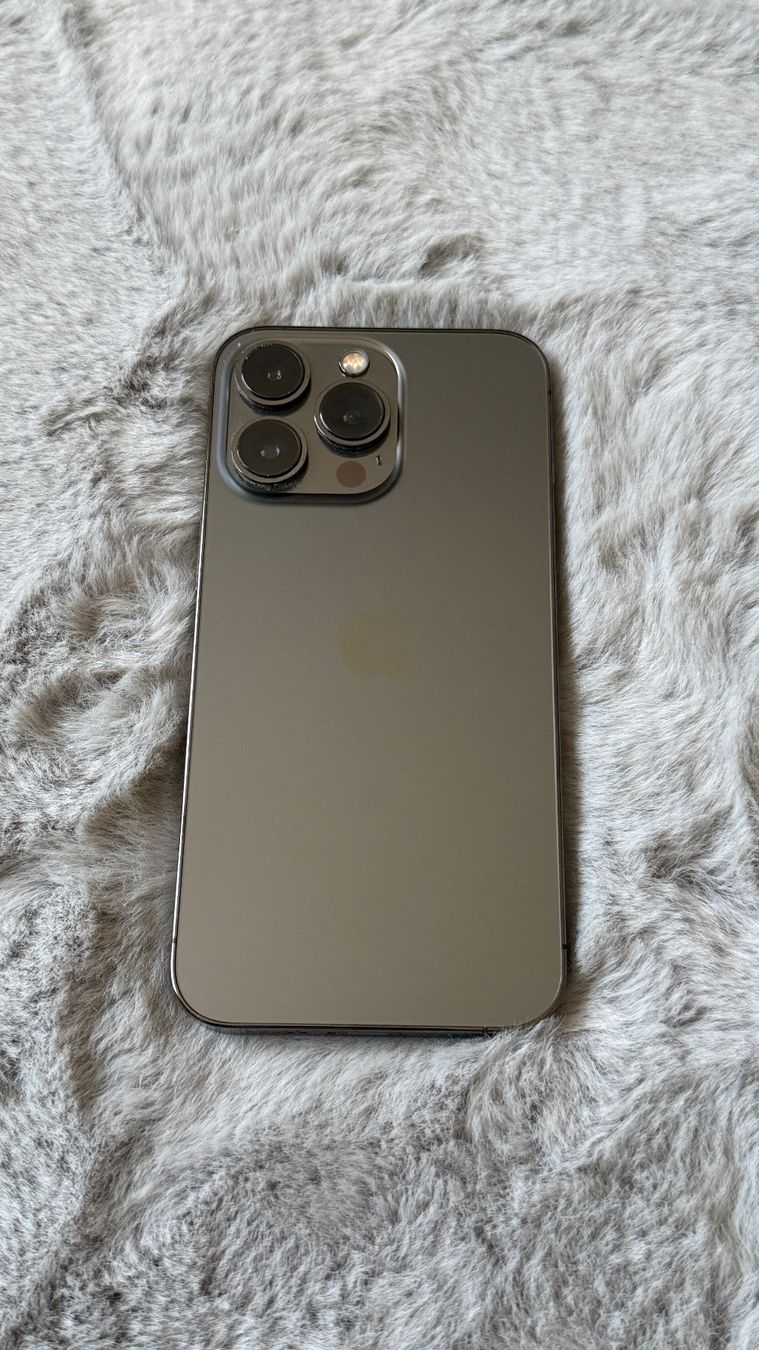 Apple Portables: iPhone 13 Pro, 256 GB, Graphite – D'occasion à Lupfig par Sleidron