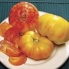 Pflanzen & Samen: 30 Samen FLAME Tomate – Neu (gemäss Beschreibung) aus Ehrendingen von VerveinaSamen 3