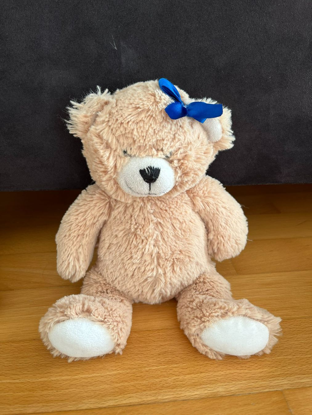Giocattoli: Teddybären-Plüsch-Set – Usato da Muttenz venduto da Juvenile33 3