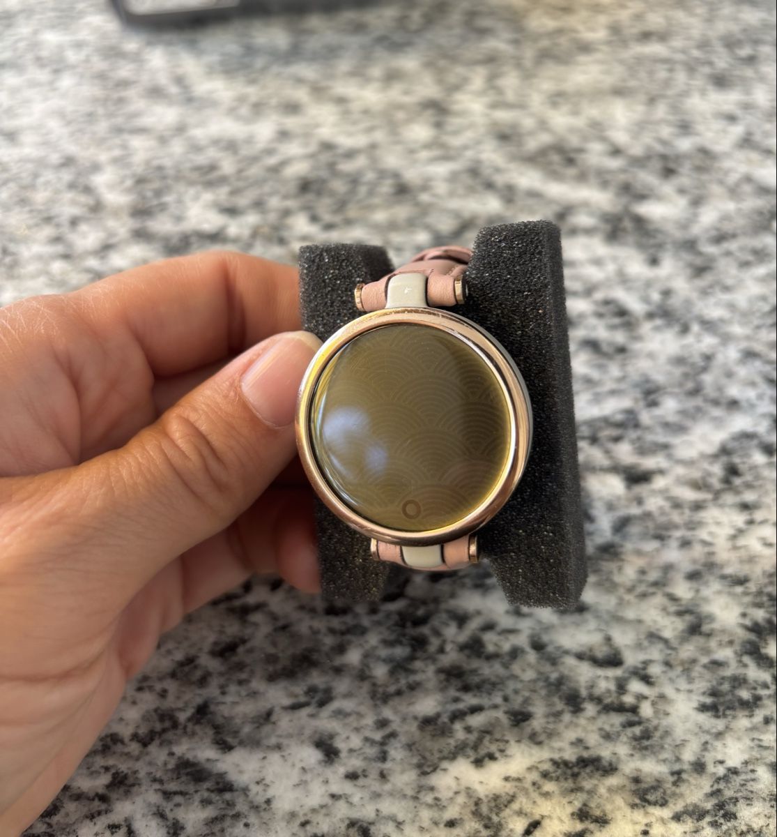 Garmin Smartwatch: Smartwatch Garmin Lily Sport – Usato da Stettfurt venduto da Geltopam 4
