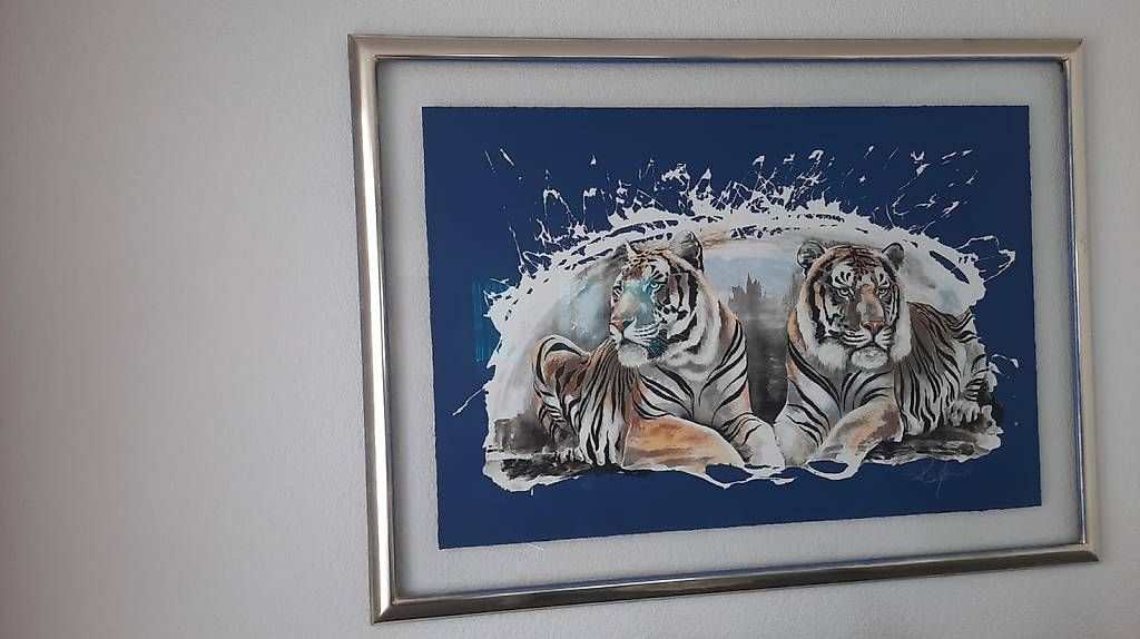 Poster & Bilder: Tiger - Bild, Rolf Knie – Gebraucht aus Zuckenriet von Delta31 1
