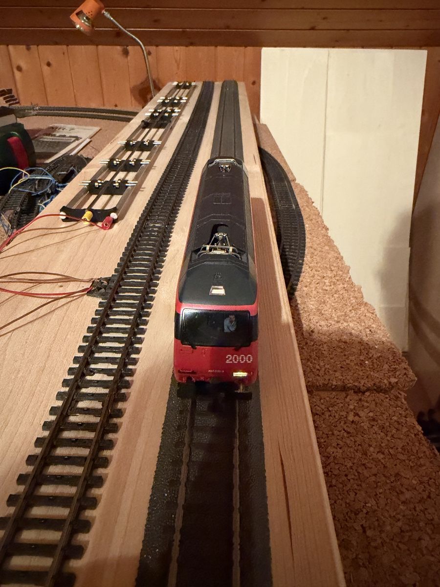 Hag Modellini di ferrovie: HAG Re 460 HO Lok WS digital – Usato da Regensdorf venduto da Basc 6