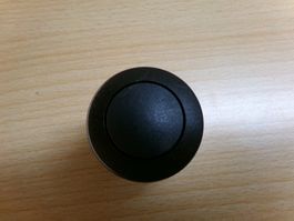 Pilztaster schwarz