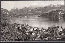 Ak Weggis LU