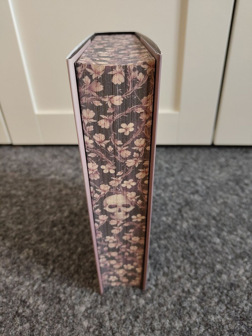 Libri: Fallen Princess – Usato da Steinen venduto da aislynn 2