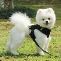 Hundegeschirr L