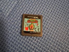 Freshly-Picked Tingle's Rosy Rupeeland Nintendo DS Spiel