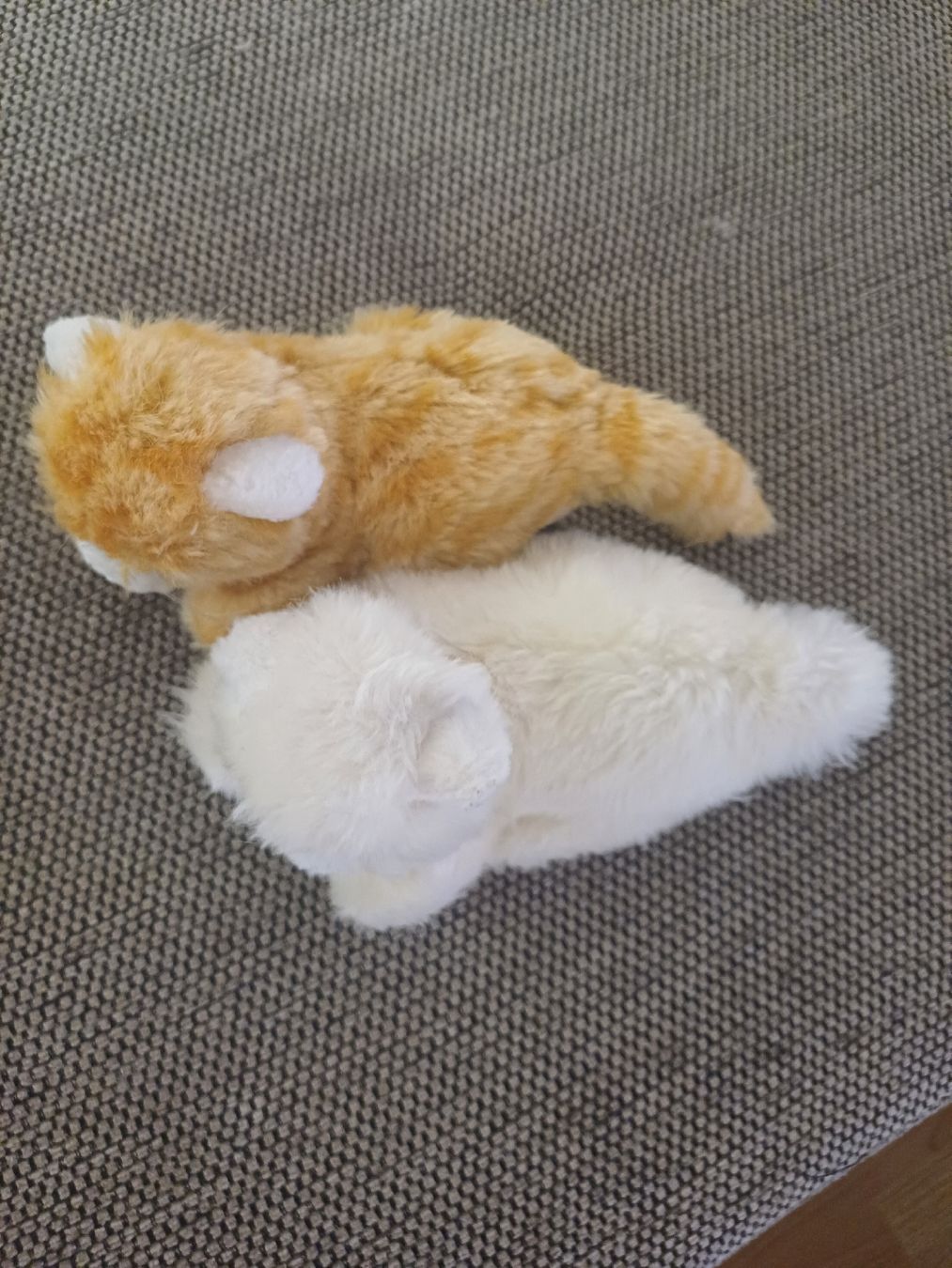 Spielzeuge: Kuscheltiere Katzen 2er Set Plüschtier  – Gebraucht aus Ostermundigen von Loulilou86 1