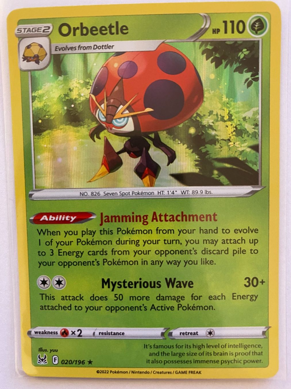 Pokémon Carte collezionabili: Pokemon Orbeetle 020/196 Lost Origin EN – Nuovo (secondo la descrizione) da Weingarten-Kalthäusern venduto da McGmavlo