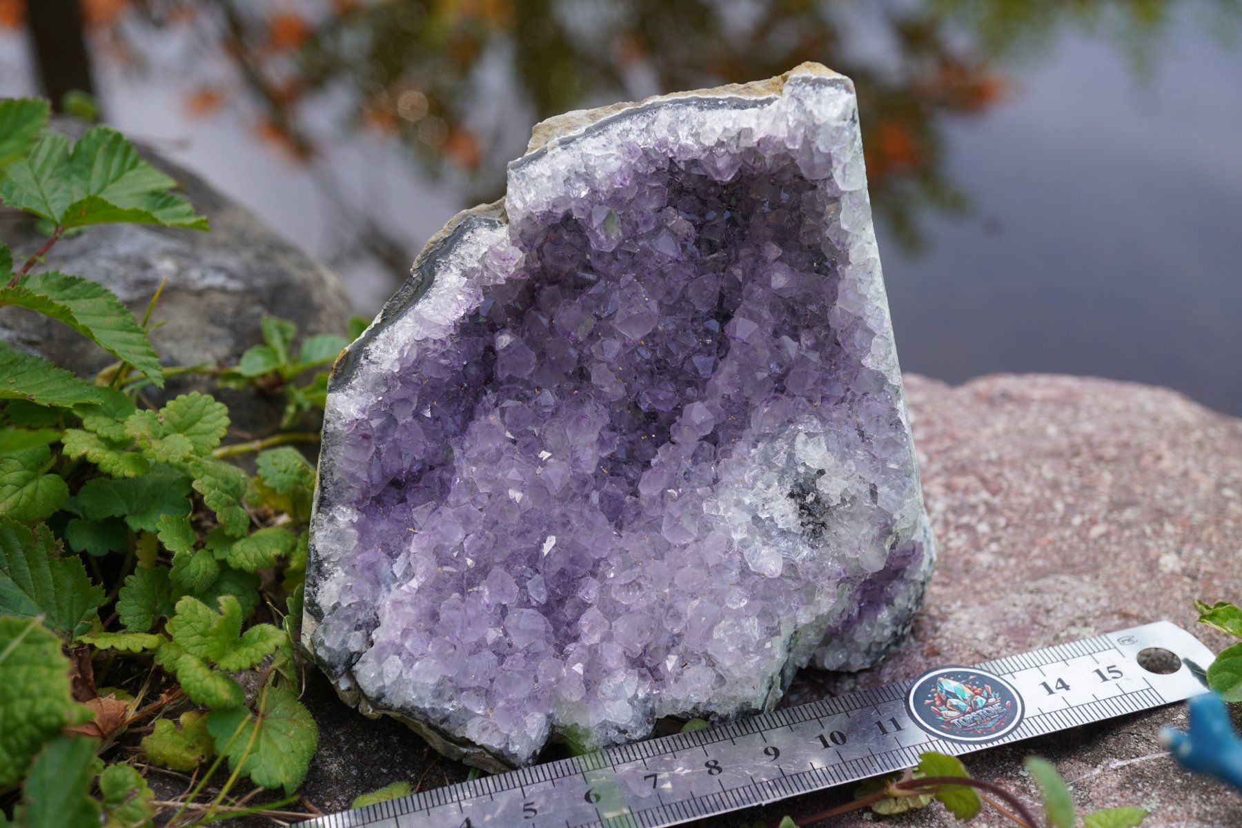 Minerali & Pietre curative: Amethyst Drusen Stück  ca 9cm x 10cm    no1 – Nuovo e nell'imballaggio originale da Eschenbach SG venduto da topstone 3